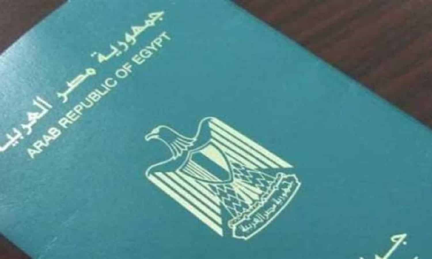 Egypt determines conditions of granting citizenship to foreigners

